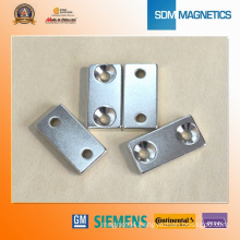 Professional Large Various Shapes Permanent Magnets for Sale